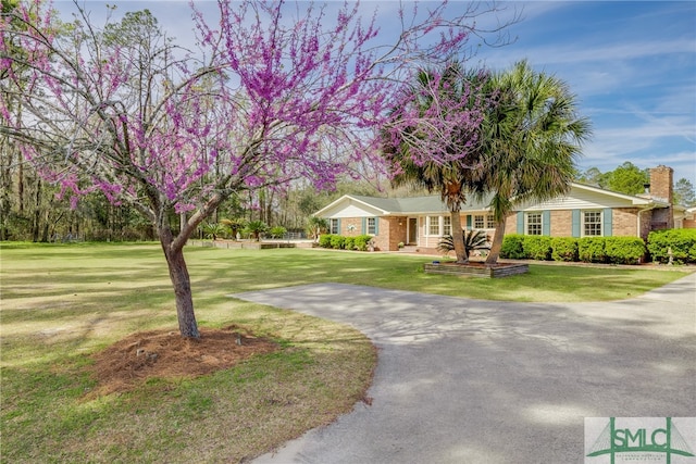 view of front facade with a front yard