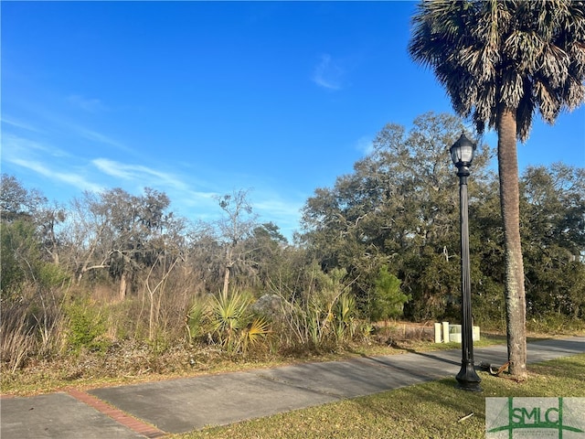 314 W Memorial Dr, Hinesville GA, 31313 land for sale