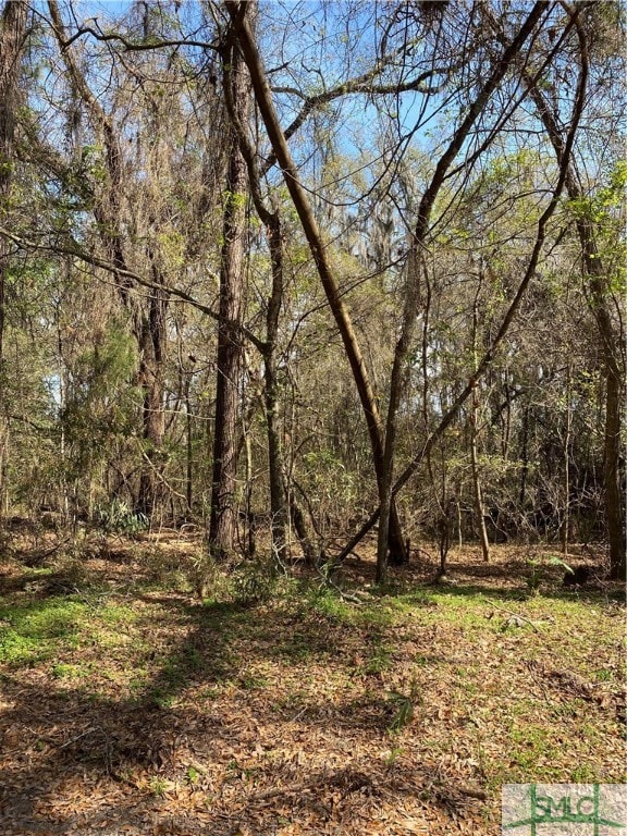 3 Big Oak Rd, Riceboro GA, 31323 land for sale