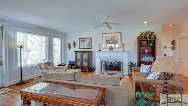 living room featuring ceiling fan, crown molding, and light hardwood / wood-style floors