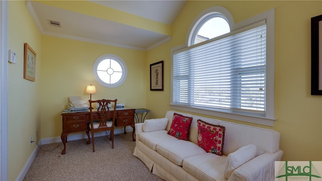 view of carpeted living room