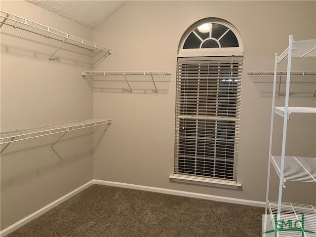 walk in closet featuring carpet flooring