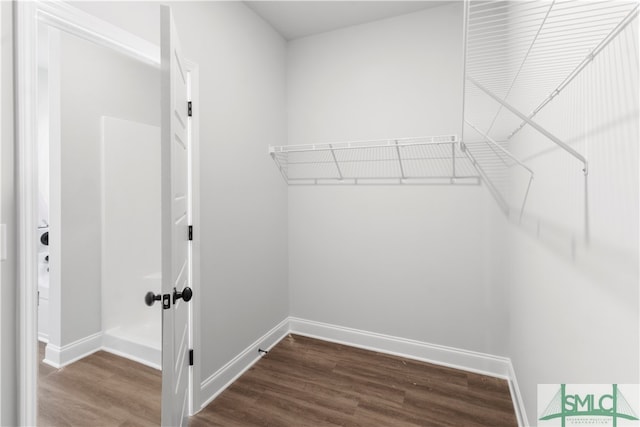 walk in closet featuring hardwood / wood-style flooring