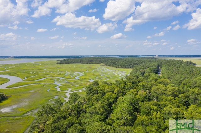 41 Gray Heron Retreat Retreat, Savannah GA, 31411 land for sale