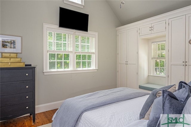 bedroom with dark hardwood / wood-style floors, high vaulted ceiling, and multiple windows