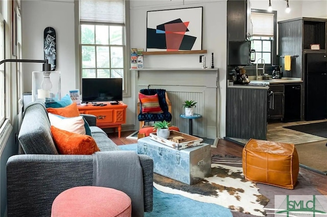 living room featuring hardwood / wood-style floors