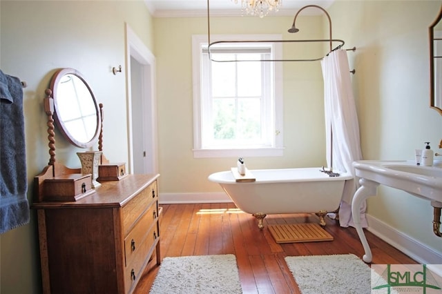 bathroom featuring crown molding and wood-type flooring