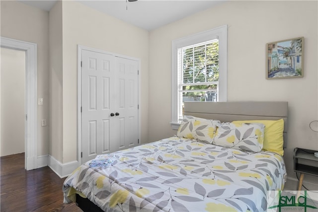 bedroom featuring a closet and dark hardwood / wood-style floors