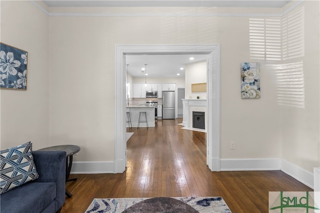 interior space featuring sink and dark wood-type flooring