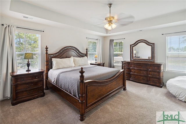 carpeted bedroom with a raised ceiling, ceiling fan, and multiple windows