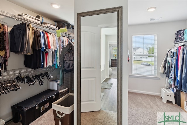 walk in closet with carpet floors