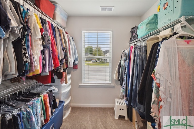 spacious closet featuring carpet flooring