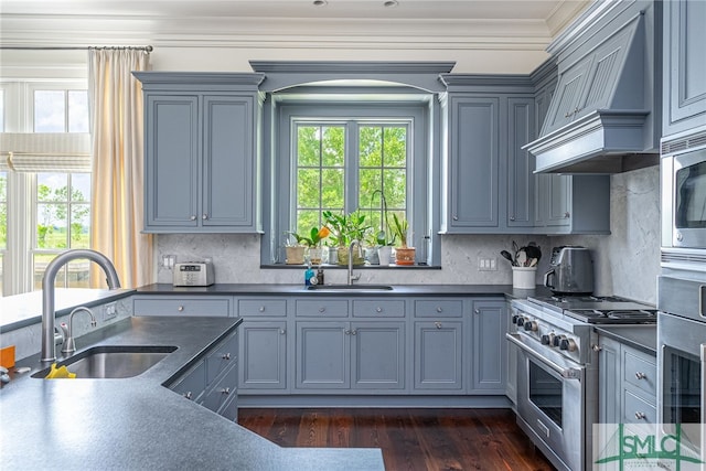 kitchen with appliances with stainless steel finishes, sink, premium range hood, and dark hardwood / wood-style floors