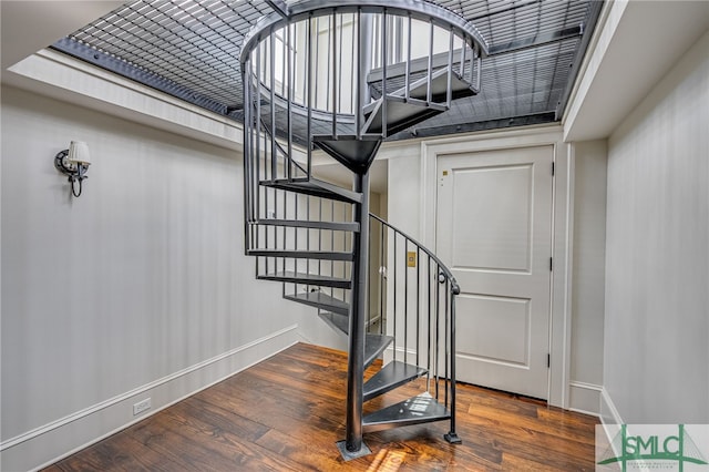 stairway featuring dark wood-type flooring