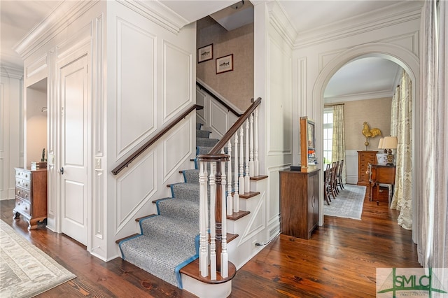 stairway with dark hardwood / wood-style flooring and crown molding