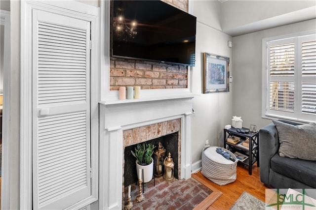 living room featuring wood-type flooring and a fireplace