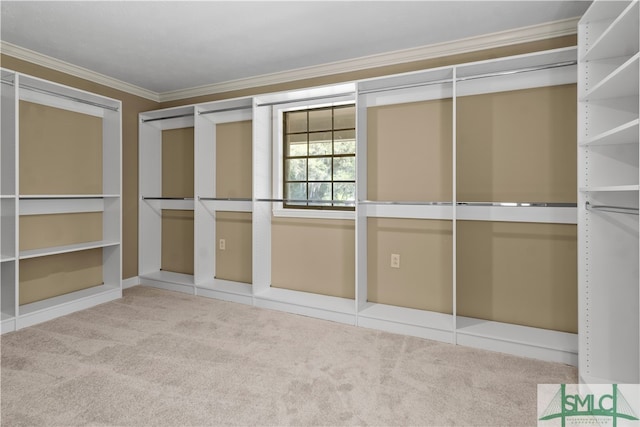 walk in closet featuring light carpet