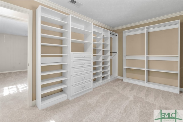 walk in closet with light colored carpet