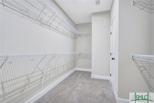 walk in closet with light colored carpet