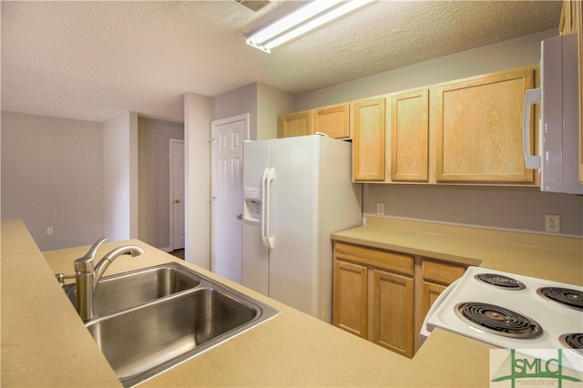 kitchen featuring sink, a textured ceiling, white appliances, and light brown cabinetry