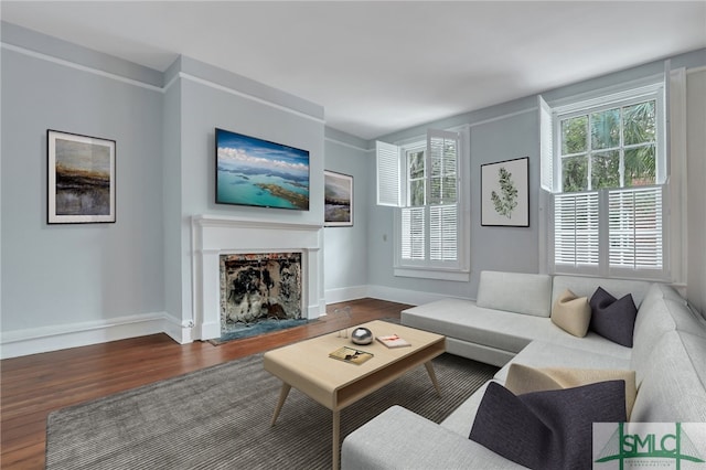 living room featuring hardwood / wood-style floors