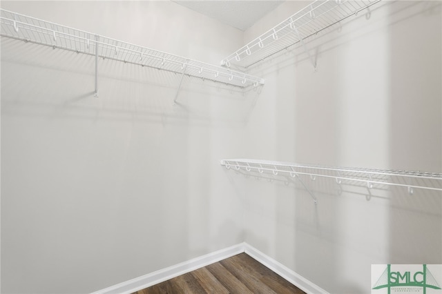 walk in closet with wood-type flooring