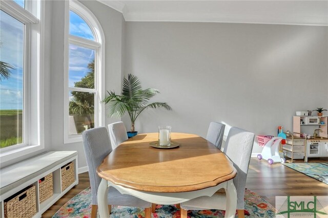 dining room featuring crown molding and dark wood-type flooring