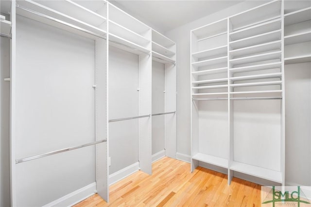 spacious closet with hardwood / wood-style floors