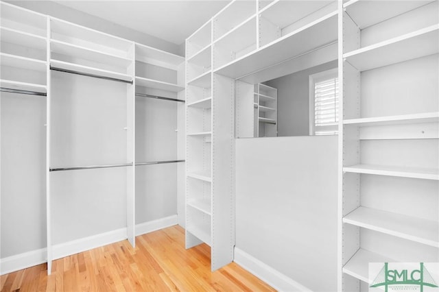 walk in closet with wood-type flooring