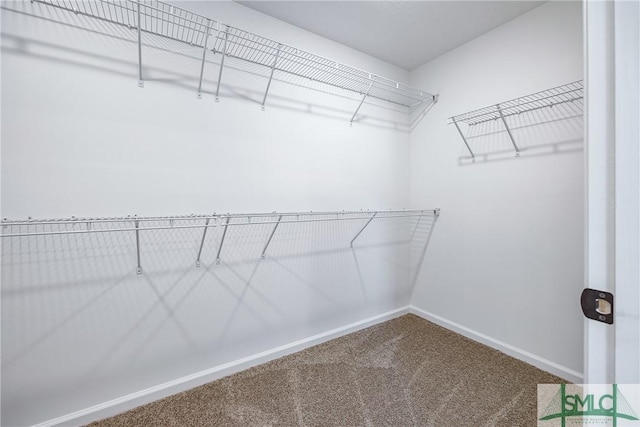 12 Cottonfield Dr, Guyton, GA 31312 - spacious closet with carpet floors