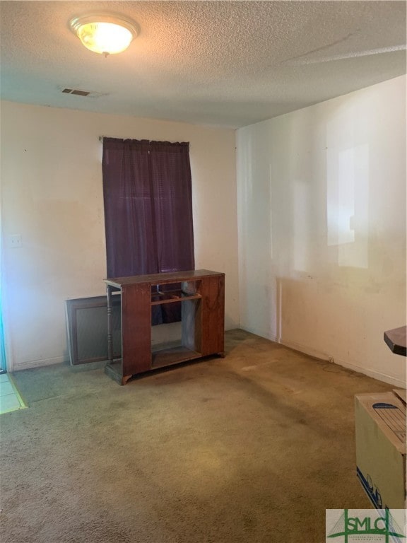 carpeted spare room with a textured ceiling