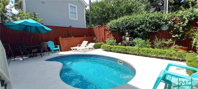 view of pool featuring a patio area