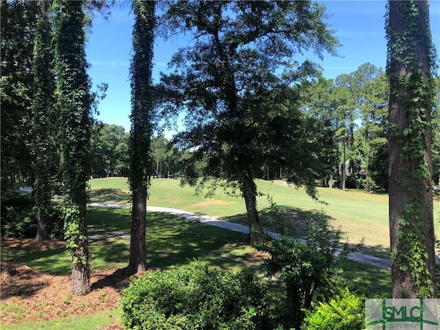 view of property's community featuring a yard