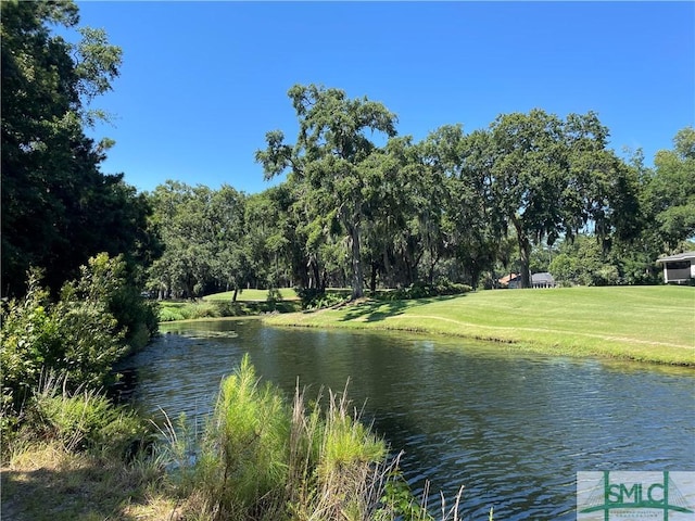 view of water feature