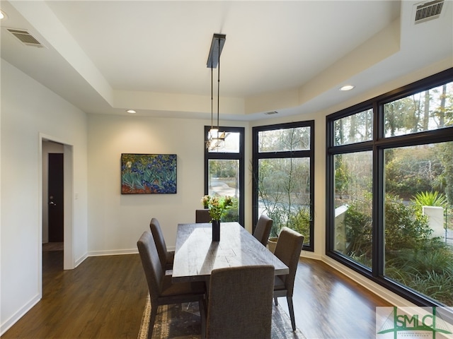 dining room with dark hardwood / wood-style floors, a raised ceiling, and a healthy amount of sunlight