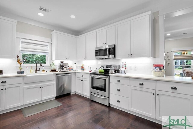 kitchen with white cabinets, sink, tasteful backsplash, dark hardwood / wood-style flooring, and stainless steel appliances