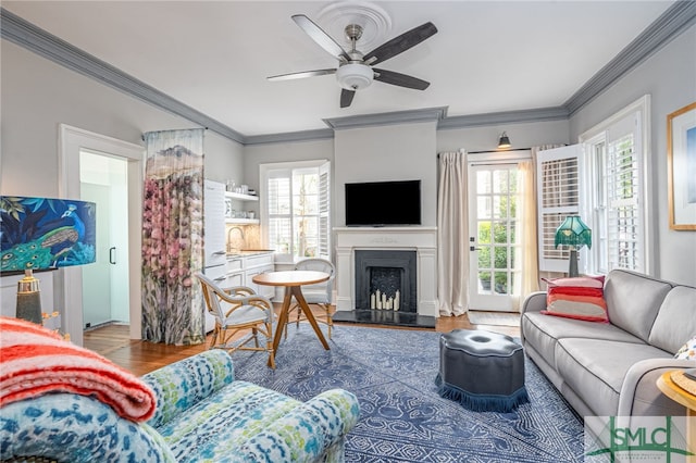 living room featuring ceiling fan, crown molding, and sink