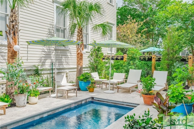 view of pool featuring a patio