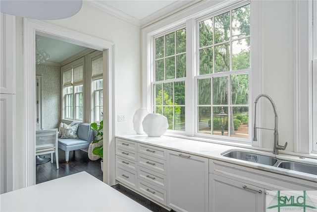 interior space featuring crown molding, sink, and dark hardwood / wood-style floors