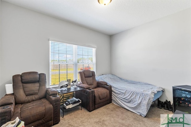 bedroom featuring light carpet and multiple windows