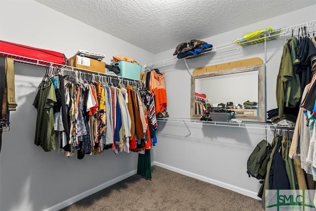 spacious closet featuring carpet floors