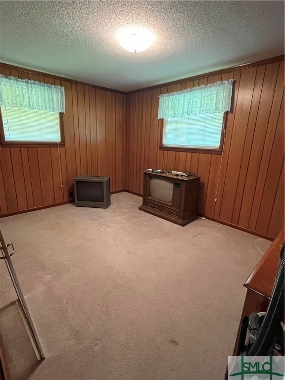 interior space featuring wooden walls, a textured ceiling, light colored carpet, and a healthy amount of sunlight