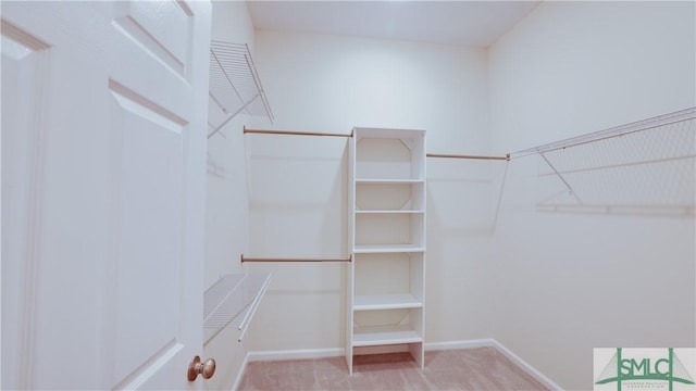 spacious closet with carpet flooring