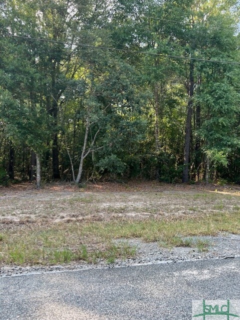 124 Cherokee Dr, Guyton GA, 31312 land for sale