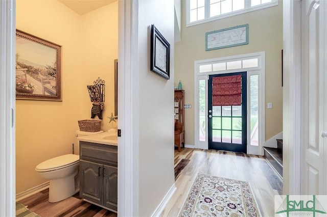 foyer entrance with a towering ceiling and hardwood / wood-style flooring