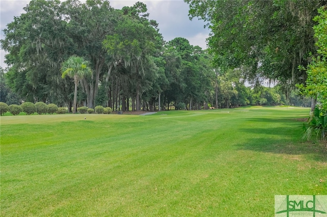 view of community with a yard