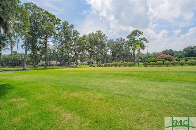 view of community with a yard