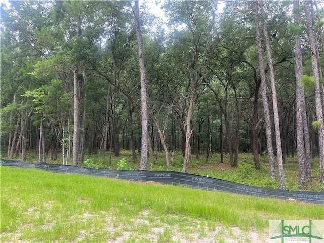 159 Wood Haven Ln, Pooler, GA 31322