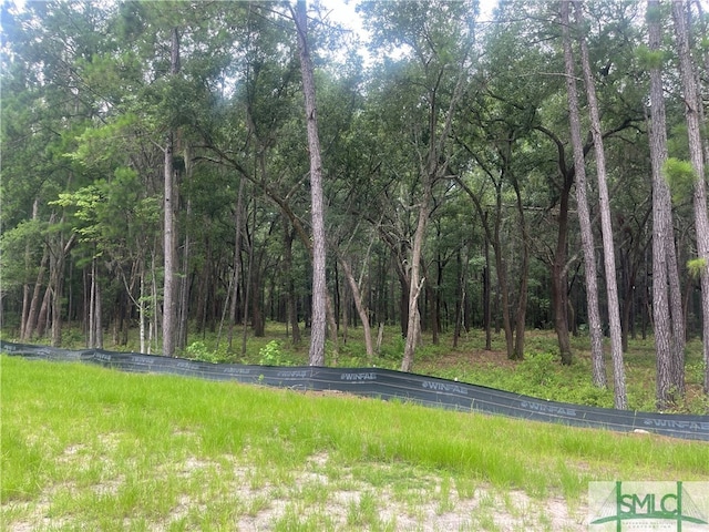 159 Wood Haven Ln, Pooler, GA 31322