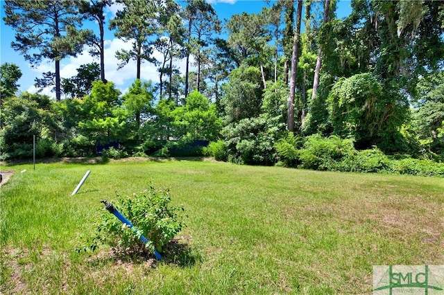 6921 Johnny Mercer Blvd, Savannah, GA 31410 - photo 11